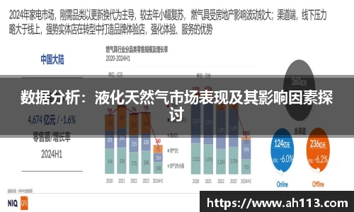 数据分析：液化天然气市场表现及其影响因素探讨