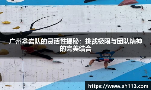 广州攀岩队的灵活性揭秘：挑战极限与团队精神的完美结合