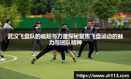 武汉飞盘队的崛起与力量探秘聚焦飞盘运动的魅力与团队精神