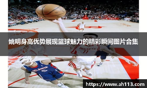 姚明身高优势展现篮球魅力的精彩瞬间图片合集